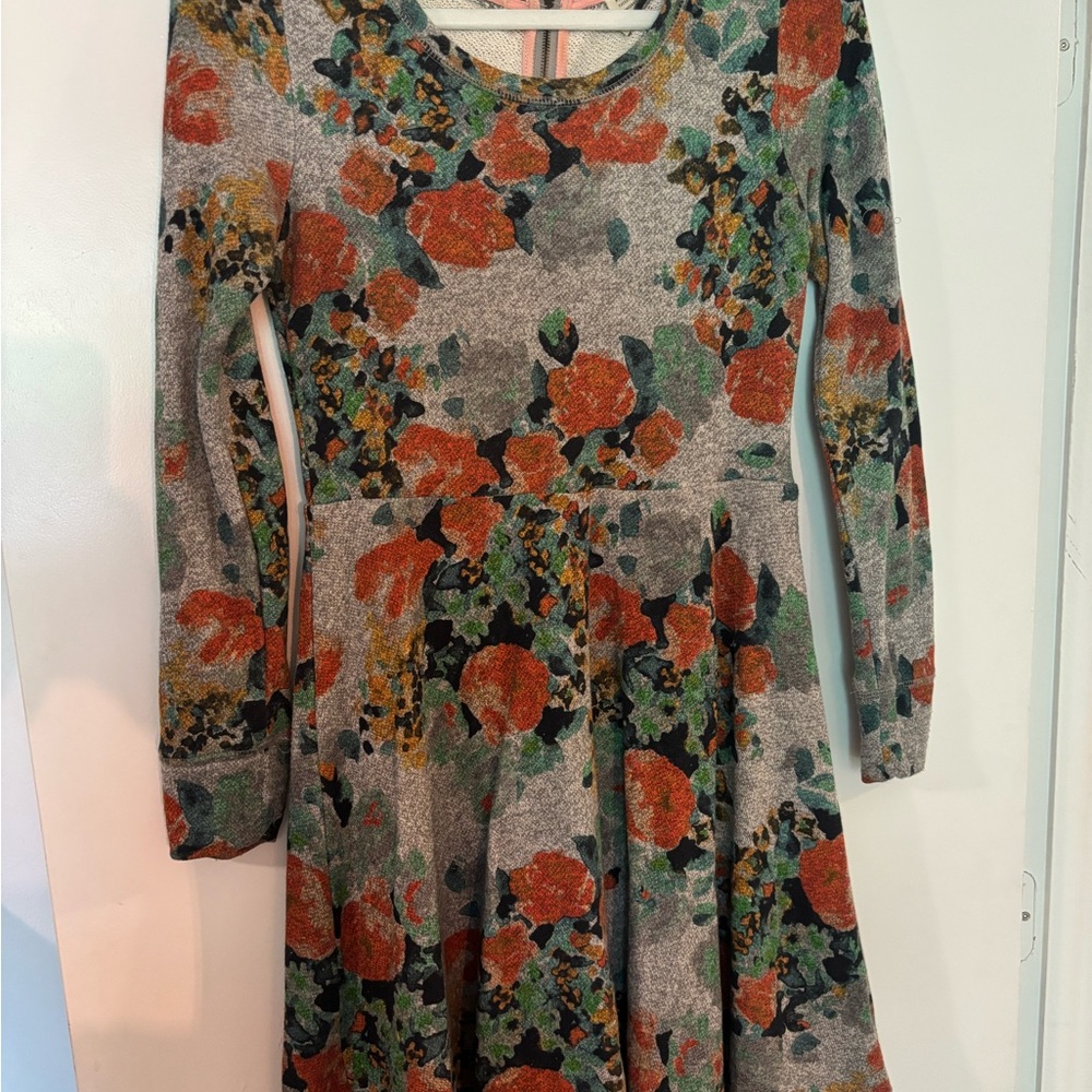 Anthropologie Fit and Flare Long Sleeve Dress